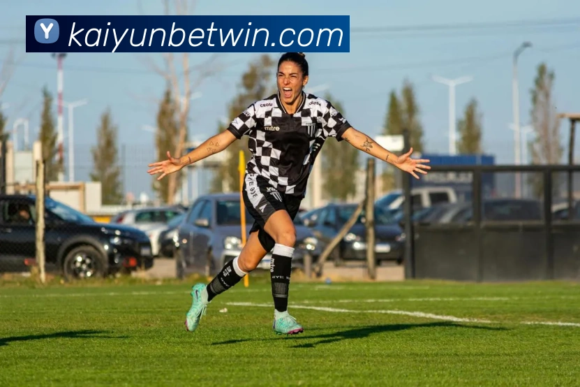 开云体育平台生态图